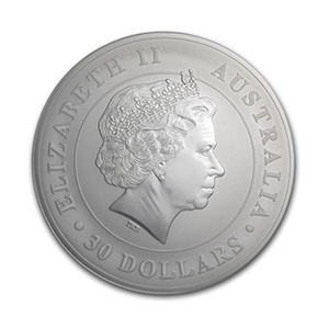 product-koala-1kg-2015-achterkant.jpg KOALA-2015-1KG - achterkant