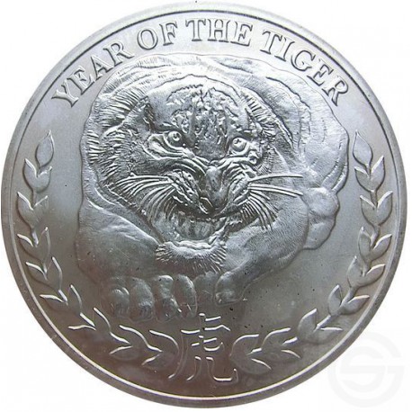 year of the tiger