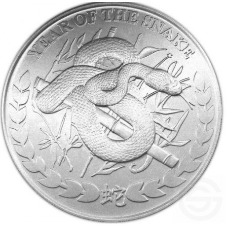 year of the snake