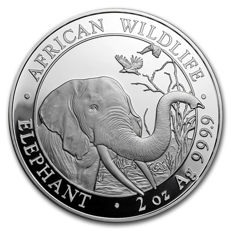 Somalische Olifant 2 oz 2018