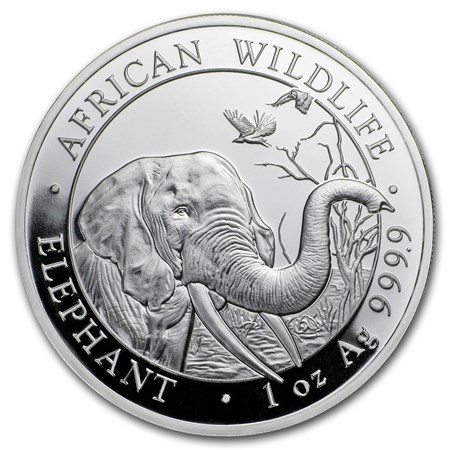 Somalische olifant 5 oz 2018
