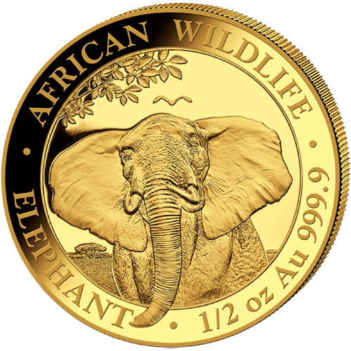 Gouden Somalische Olifant 0.5 oz 2021 voorkant 101munten somalische olifant 1/2 oz 2021