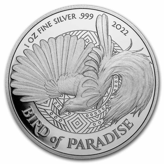 birds of paradise