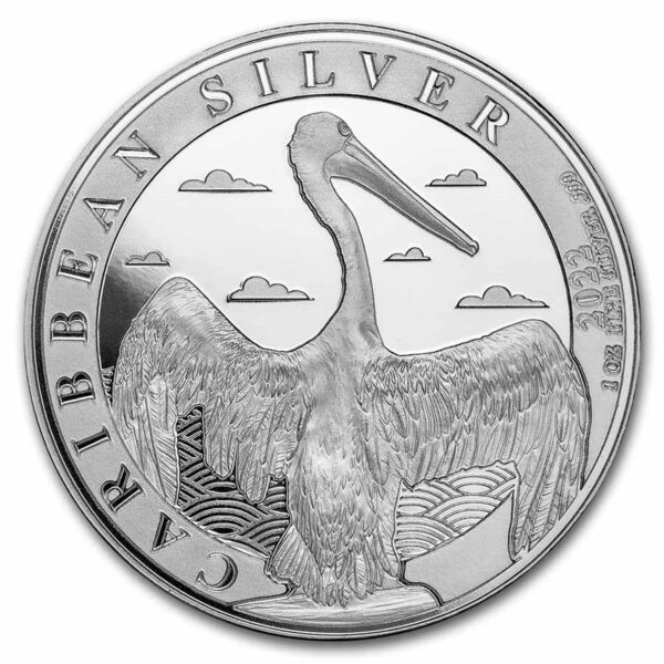caribbean pelican