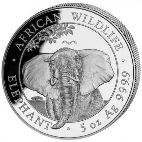 somalische olifant 5 oz 2021