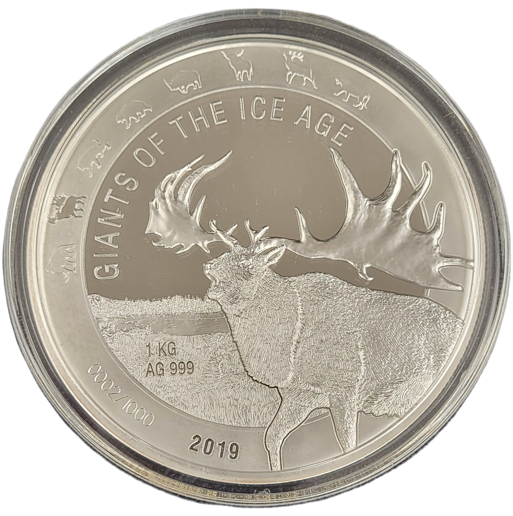 Ghana Giants of the Ice Age 1 kg 2019 Giant Deer-front giant deer
