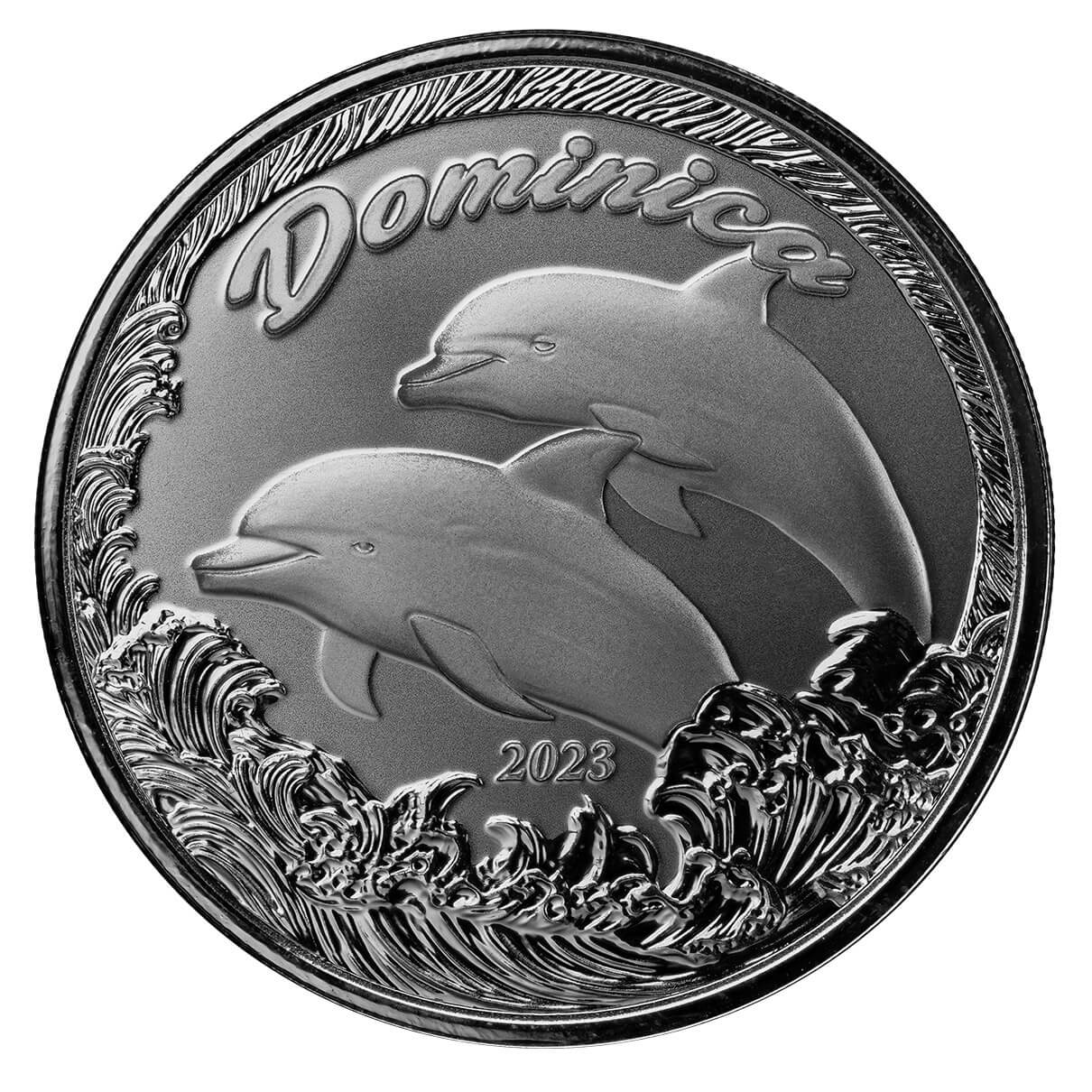 dominca dolphin2023 -front dominica dolphin
