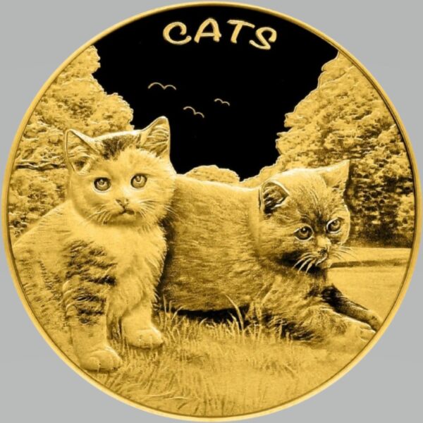 Gouden fiji cats