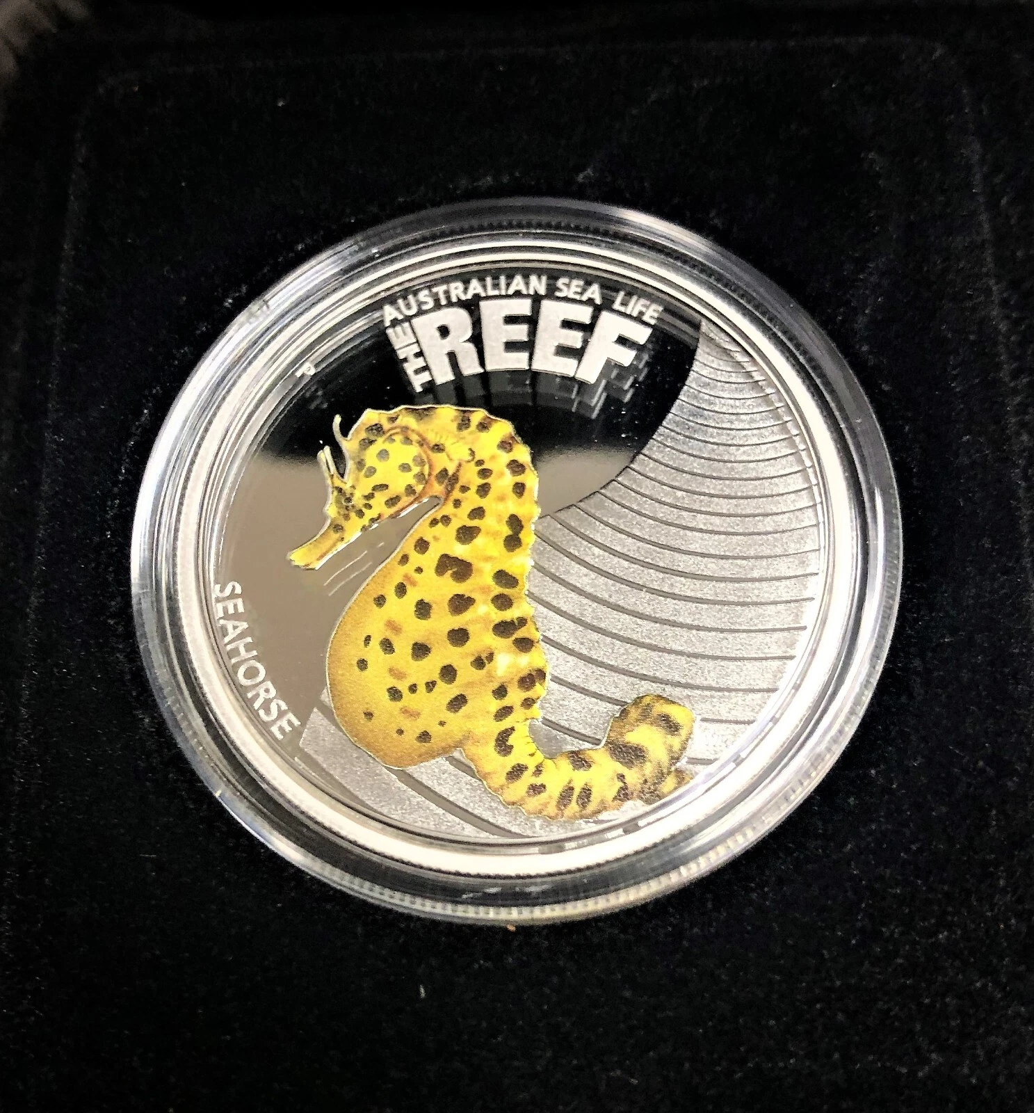 s-l1600 (8) s l1600 8